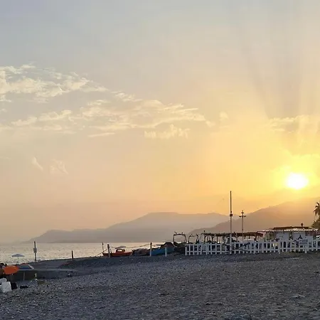 - Iris - ולקרוסיה