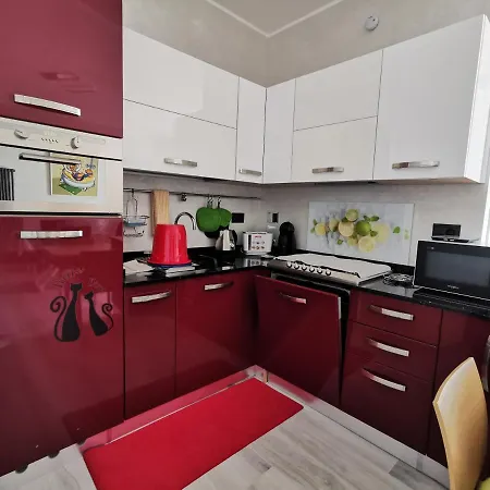 - Iris - Vallecrosia