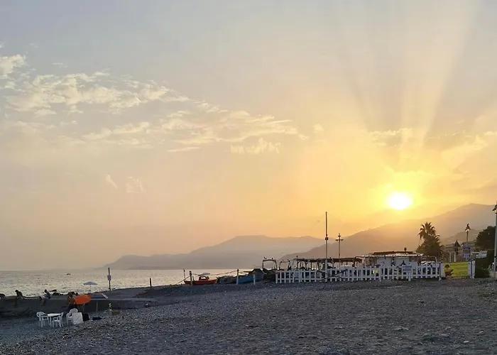 - Iris - Vallecrosia