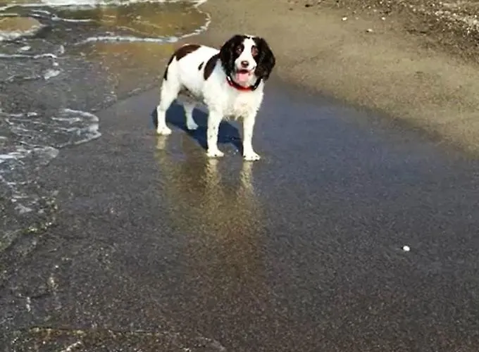 - Iris - Apartamento *